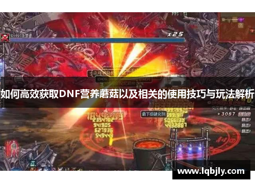 如何高效获取DNF营养蘑菇以及相关的使用技巧与玩法解析